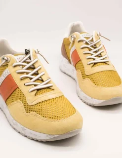 Deportivo Cetti C-1370 Rejilla Lemon de Hombre