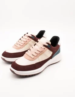 Deportivo Geox D36VRA 02285 C7027 ABX Wine-Cream de Mujer