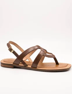 Sandalia Geox D55YFC 0001J C5006 Camel de Mujer