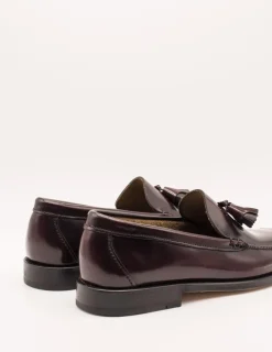 Zapato Castellano 801 Antik sirach ADB de hombre.