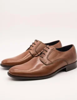 Zapato Donattelli 9390 Toledo Caoba de hombre.
