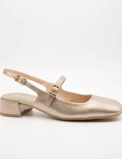 Zapato Hispanitas HV253818 Oporto Cava de Mujer