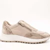 Zapato 24HRS 26267 Combi Topo de Mujer