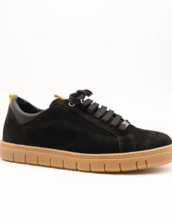 Zapato Trottar T40001 Basket David Negro de Hombre